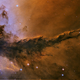Illustration for article titled How We Solved the Mystery of the Disappearing Baby Stars